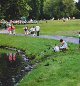 JANUARSKI JAVNI DOGODEK: Pot osebnostnega in duhovnega razvoja je pot k celostnemu delovanju