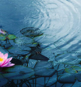 Marčevski javni dogodek: Pot v globine